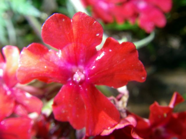 2010 05 24 jeanmarcperfetti.com 030.JPG